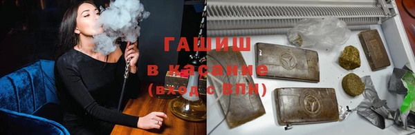 прущие грибы Балабаново
