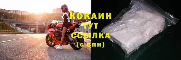 прущие грибы Балабаново