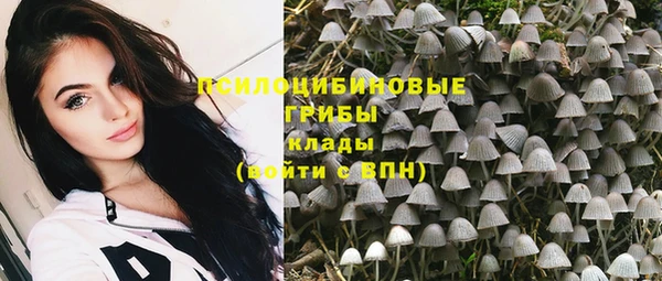 тгк Баксан