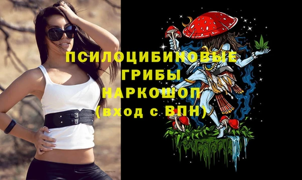 тгк Баксан