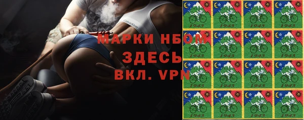 прущие грибы Балабаново