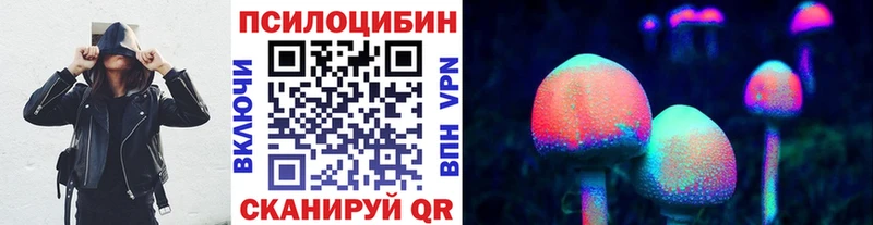 Псилоцибиновые грибы прущие грибы  OMG   Гвардейск 